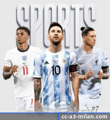 五大服务分区,信息按项目分类（ACMILAN）